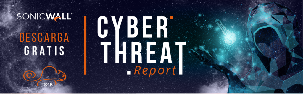 Ciberseguridad - Amenazas cibernéticas 2022